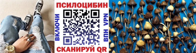 Псилоцибиновые грибы Psilocybine cubensis  где найти   Мариинск 